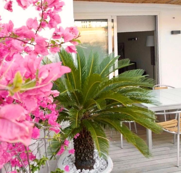 B&B Interno 3 Bari Exteriör bild